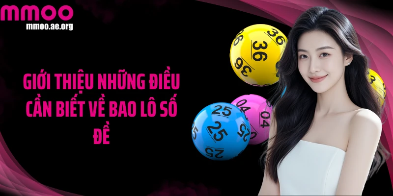 Giới thiệu những điều cần biết về bao lô số đề